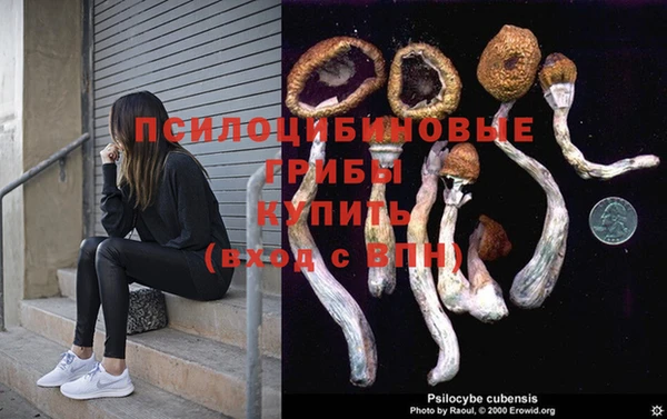 кокаин премиум Пролетарск