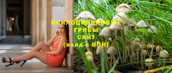 бошки Елабуга