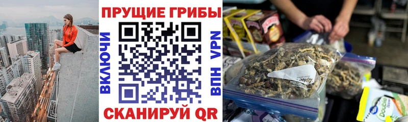 Псилоцибиновые грибы MAGIC MUSHROOMS  OMG ТОР  Коммунар 