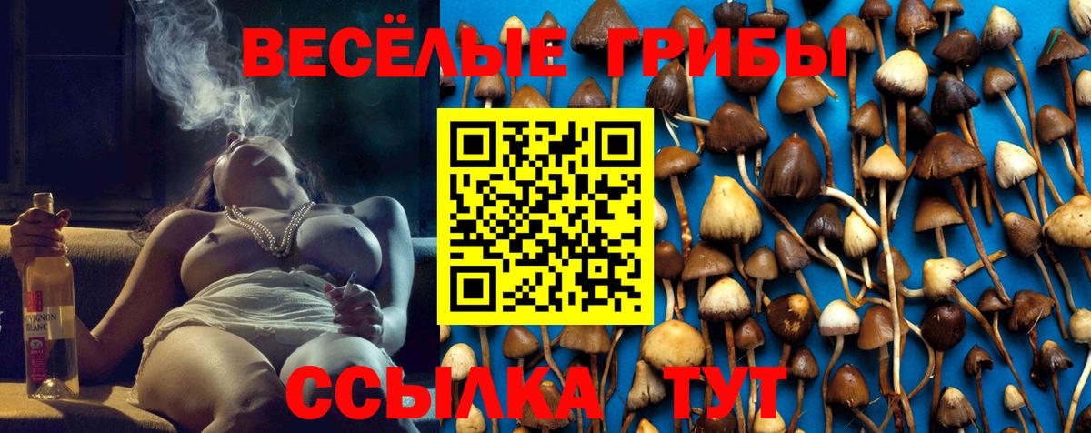 Коммунар  Галлюциногенные грибы Psilocybe  Вход с VPN 